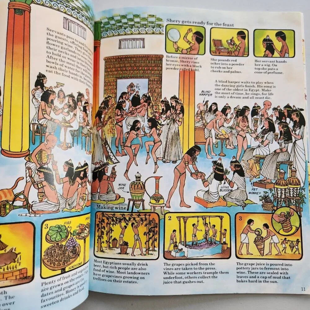 Time Traveller Book of Pharaohs and Pyramids Paperback Book History Comic Book